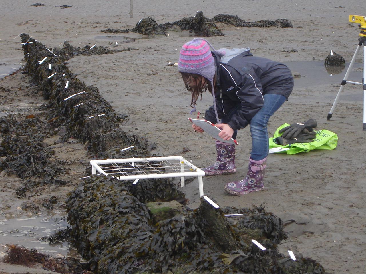 Planning Frame Exercise (February 2011)